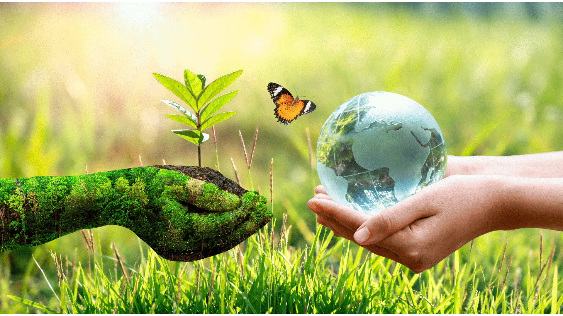 go green go green